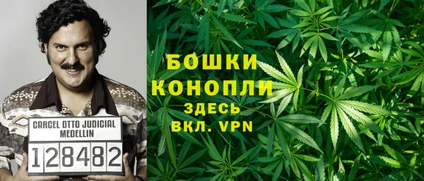 прущие крисы Арсеньев