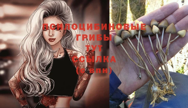 каннабис Аркадак