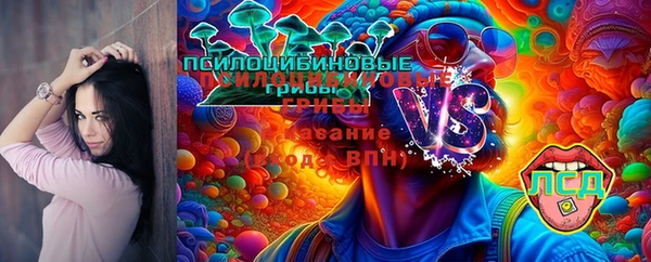 каннабис Аркадак